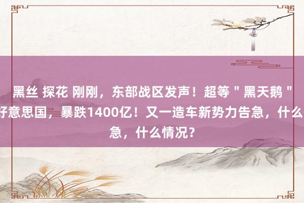 黑丝 探花 刚刚，东部战区发声！超等＂黑天鹅＂直击好意思国，暴跌1400亿！又一造车新势力告急，什么情况？