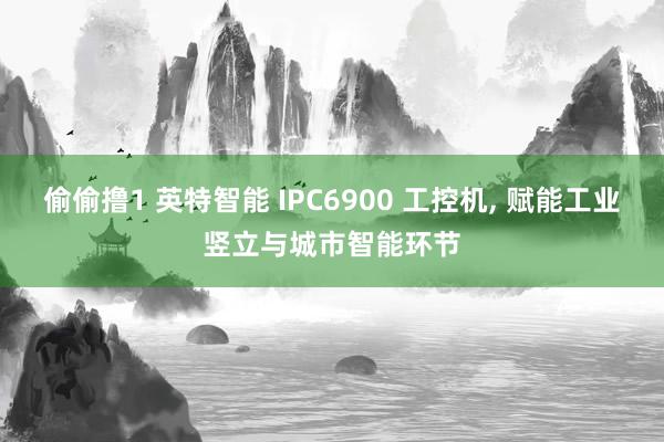 偷偷撸1 英特智能 IPC6900 工控机, 赋能工业竖立与