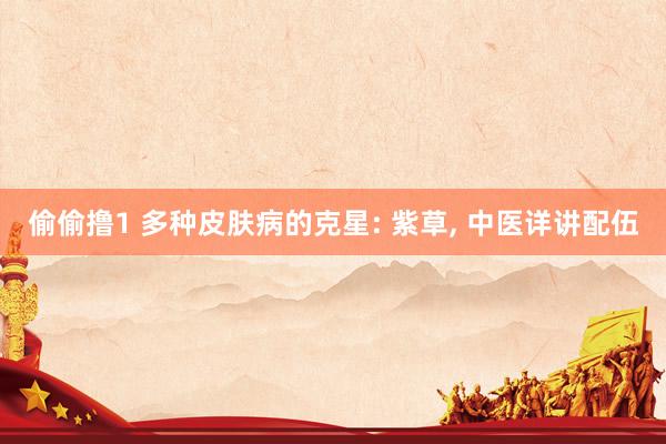 偷偷撸1 多种皮肤病的克星: 紫草， 中医详讲配伍