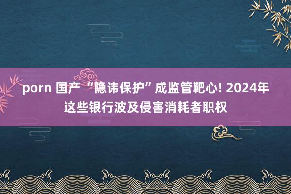 porn 国产 “隐讳保护”成监管靶心! 2024年这些银行