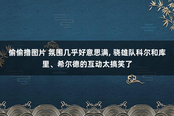 偷偷撸图片 氛围几乎好意思满, 骁雄队科尔和库里、希尔德的互