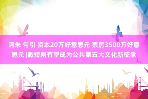 阿朱 勾引 资本20万好意思元 票房3500万好意思元 |微短剧有望成为公共第五大文化新征象