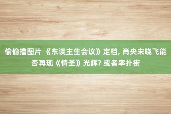 偷偷撸图片 《东谈主生会议》定档， 肖央宋晓飞能否再现《情圣》光辉? 或者率扑街